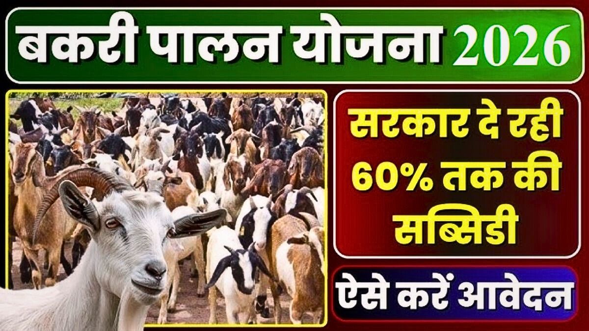 Krishak Bakri Palan Yojana 2026